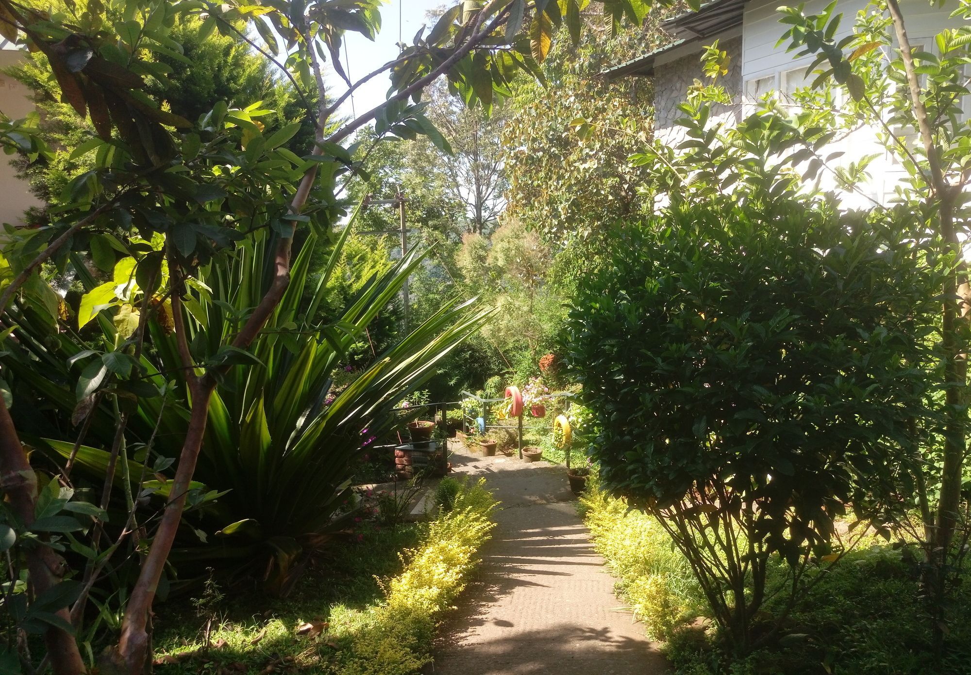 Hotel Spicetree Munnar Chinnakanal Esterno foto